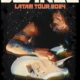 Juanes vuelve a Chile: Fecha, lugar y entradas